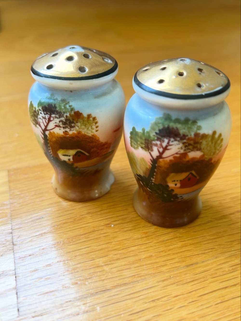 Vintage Ceramic Salt and Pepper Shakers with Cabin Sunset Theme, Cottagecore